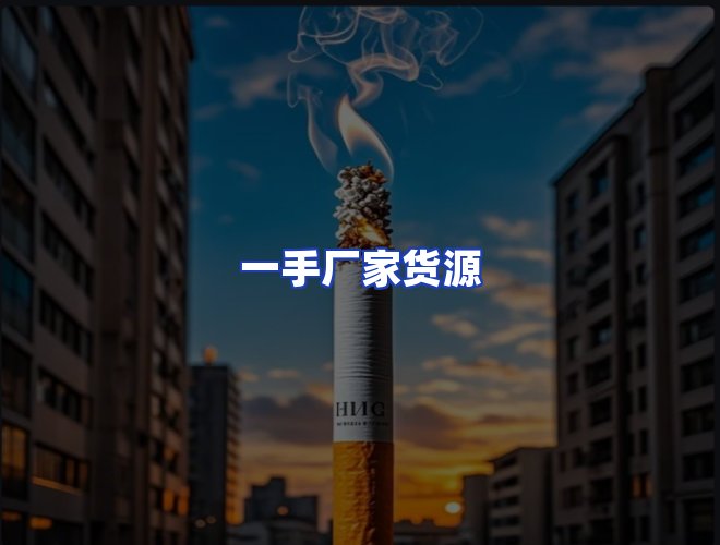 专业团队